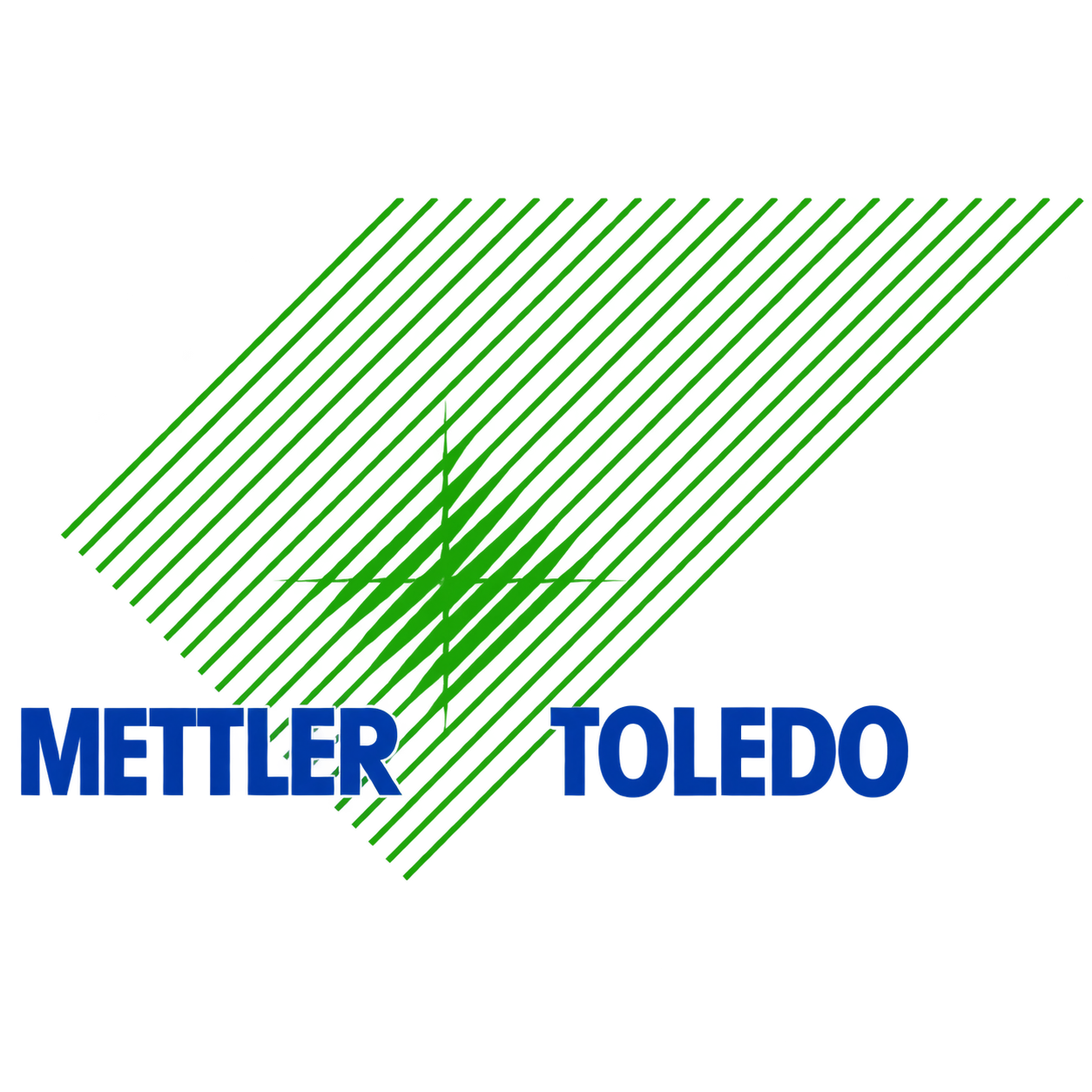 Mettler Toledo terazi servisi